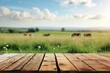 Wooden table with grass and cows background.
