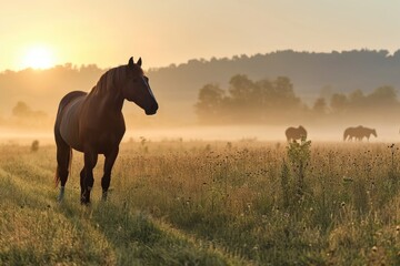 Wall Mural - sunrise field with thoroughbred horses.