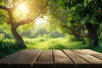 Wall Mural - farm table displays products on nature background.