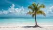 AI generated illustration of a single palm tree on a pristine white sandy beach