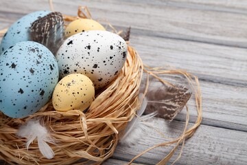 Canvas Print - Easter concept, colored eggs in nest