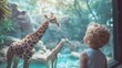 A child looks at a giraffe in a zoo. Introducing a child to the world of wild nature.