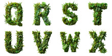 Letters Q, R, S, T, U, V, W, X Are Made Of The Vibrant Green Ecosystem Of Moss, Ferns, And Monstera Plants.