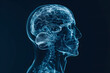 © Oksana_Latysheva - Computer Generated Image of Human Brain Revealing Intricate Neural Connections and Structure