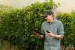 © scharfsinn86 - Farmer examines the vineyard and sends data to the cloud from the tablet. Smart farming and digital agriculture