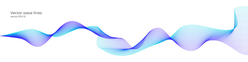 Poster - Vector wave dynamic music lines. Blue-violet abstract lines. Sound waves on a white background for your design. Vector EPS 10