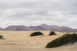 Landscape with dunes and mountains of Fuerteventura.