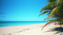 Summer Holiday On A Caribbean Beach With White Sand And Blue Sea. Dominican Coast Under Blue Sky. Palm Island On A Sunny Day. An Amazing Tropical Getaway At A Luxury Blue Lagoon Resort.