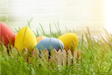 Canvas Print - Collection of the beautiful colored easter eggs