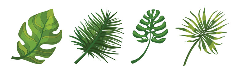 Poster - Tropical Exotic Green Leaves and Foliage Vector Set