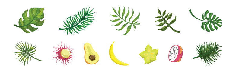 Poster - Tropical Exotic Green Leaves and Juicy Fruits Vector Set