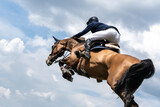 Equestrian Sports photo-themed: Horse jumping, Show Jumping, Horse riding. Jockey competing in horse jumping competition.