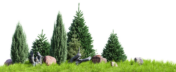 Poster - garden trees, rock and stumps design isolated on transparent background. 3d render. 3d illustration.