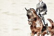Horse dressage impressions in watercolor