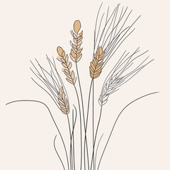 Wall Mural - Elegant line drawing of summer wheat. Illustration for invites and cards