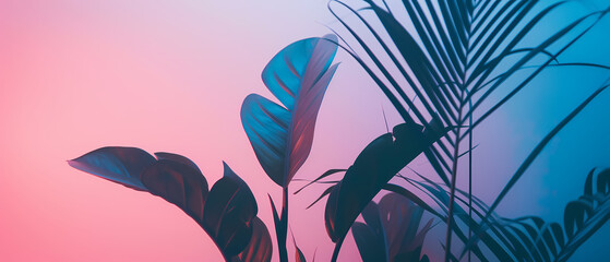 Wall Mural - Palm leaf neon pink blue and purple, Background with tinted pink and blue palm leaves. Tropical leaves background. Colorful bright foliage Palm leaf wallpaper