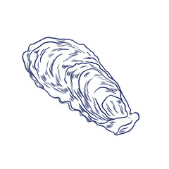 Oyster, hand drawn illustration (Vector)