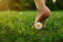 Overstimulation: How To Handle Sensory Overload. A Close-up Of Bare Foot Touching Green Grass With Delicate Daisy Flower, Moment Of Connection With Nature To Counter Sensory Overload 