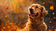 Happy golden retriever dog on autumn nature background, autumn activities for dogs