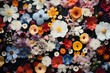 Overhead shot of a field of wildflowers, their natural beauty providing a picturesque space for your personalized text.