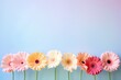 Sunlit top perspective of colorful gerbera daisies on a pastel surface, ready for personalized text overlay.