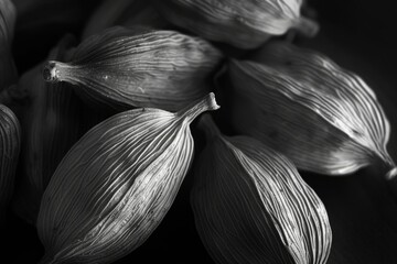 Aufkleber - A black and white photograph capturing a beautiful bunch of flowers. This picture can be used for various creative projects