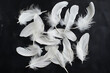 white feathers on a black background in the style of 