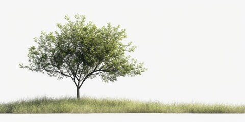 Poster - A single tree stands alone in the middle of a beautiful grassy field. Perfect for nature and landscape themes