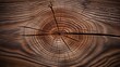 Old wooden oak tree cut surface. Detailed warm dark brown and orange tones of a felled tree trunk or stump. Rough organic texture of tree rings with close up of end grain