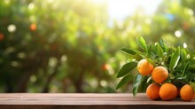 Tree Table Wood Podium In Farm Display For Food, Perfume, And Other Products On Nature Background, Table In Farm With Orange Tree And Grass, Sunlight At Morning