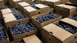 © pvl0707 - Fresh fruit boxes - stacked cardboard boxes of blueberries ready for transportation from the berry far