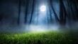 moonlight through the mist in the spooky night forest create a spotlight on the grass halloween backdrop