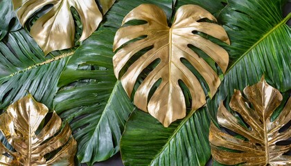 Canvas Print - closeup nature view of gold and green tropical monstera and palm leaves creative nature pattern background flat lay