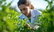 © Daniela - Woman analysis of green ecology plantation. Agriculture scientist researching in greenhouse.