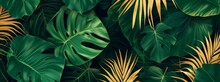 Pattern Leaf Background Green Plant Tree Abstract Palm Floral Wallpaper Flower Foliage Art Jungle. Background Luxury Leaf Pattern Texture Design Line Summer Gold Nature Monstera Fabric Golden Leaves