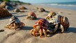 hermit crabs emerging from their vibrant shells, scattered across the sandy beach as they search for food and shelter