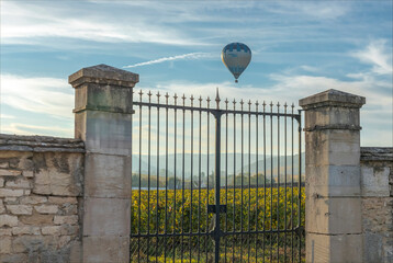 Sticker - Hot air baloon floats over the vineyards of Burgundy