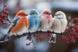 Vibrant birds heat up in snowy branches., generative IA