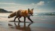  red fox gracefully traversing a sandy beach, its fur ruffled by the gentle sea breeze as it hunts for treasures washed ashore