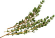 © LAYER-LAB - Fresh thyme green herbs - Ready to use PNG Cutout Premium Isolated Image