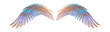The image displays a symmetrical pair of intricately detailed wings with a rich palette of blues, purples, and hints of orange, spread out for display against a muted gray background. Each feather is 