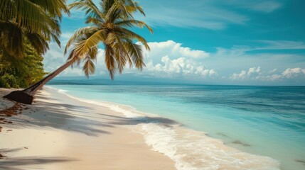 Wall Mural -  a tropical beach with a palm tree leaning over the edge of the water and a blue sky with white clouds.