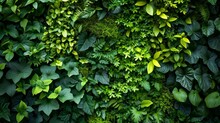 Herb Wall, Plant Wall, Natural Green Wallpaper And Background Generative Ai
