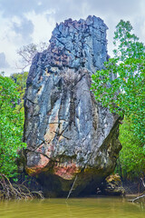 Wall Mural - The rock in mangroves, Ko Thalu Ok Island, Phang Nga Bay, Thailand