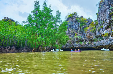 Wall Mural - The plants and rocks of Ko Thalu Ok Island, Phang Nga Bay, Thailand