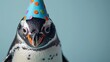 Penguin with birthday hat, icy blue background, generative ai