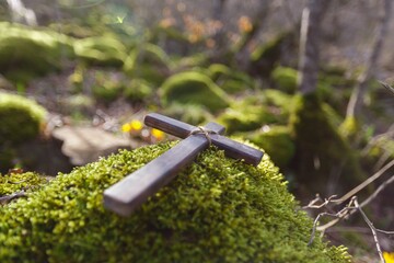 Canvas Print - Wooden Cross with flower in fresh spring forest