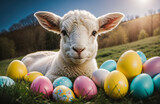 Fototapeta Niebo - Easter lamb with Easter eggs, spring background.