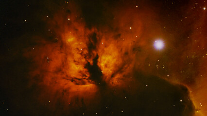 Wall Mural - NGC2024 - HSO