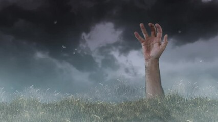 Wall Mural - hand rising from grass field with fog 4k loop features a hand rising out of blowing grass with fog a